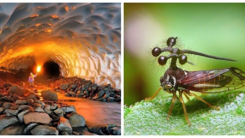 15 Mind-Blowing Images That Will Leave You Speechless!