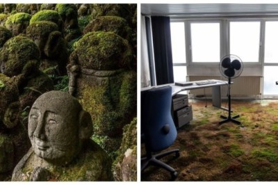 Nature's Takeover: 17 Surreal Scenes of Abandoned Places Reclaimed