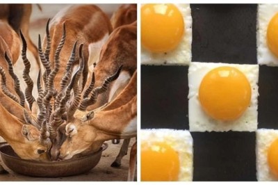 20 Images That Will Satisfy Every Perfectionist's Soul