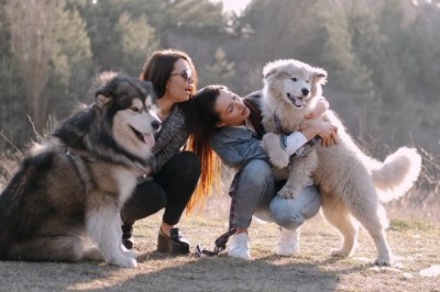 Unveiling the Chihuahua: World's Tiniest Breed with a Big Heart