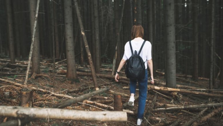 Unbelievable Encounter: Woman's Unexpected Bonding Moment with a Bear!