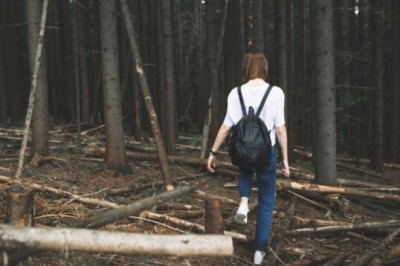 Unbelievable Encounter: Woman's Unexpected Bonding Moment with a Bear!