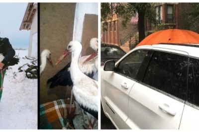 12 Incredible Photos That Will Restore Your Faith in Humanity – Unveiling the Stories Behind the Lens!