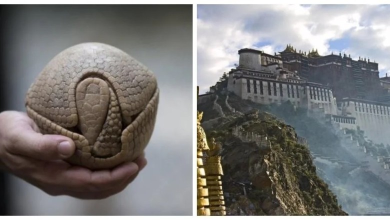 13 Mind-Blowing Images That Will Leave You Speechless