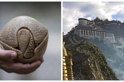 13 Mind-Blowing Images That Will Leave You Speechless