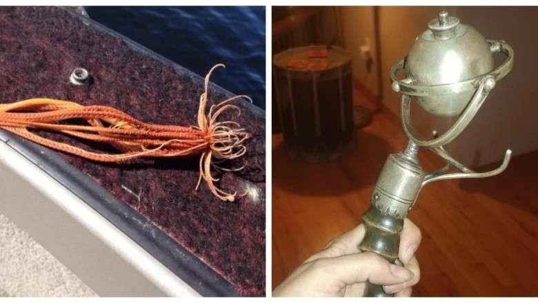 Unbelievable Encounters: 12 Strange Discoveries That Stunned the World