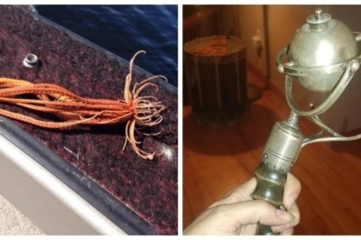 Unbelievable Encounters: 12 Strange Discoveries That Stunned the World