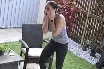 Unbelievable Footage: Brave Owners Save Cat From Python Attack!