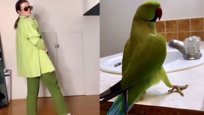 A Dance Duo: The Hilarious Synchronized Choreography of a Woman and a Parakeet