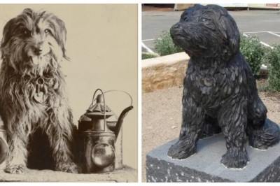 Meet Bob, the Train-Loving Dog Who Rode Thousands of Miles Across Australia