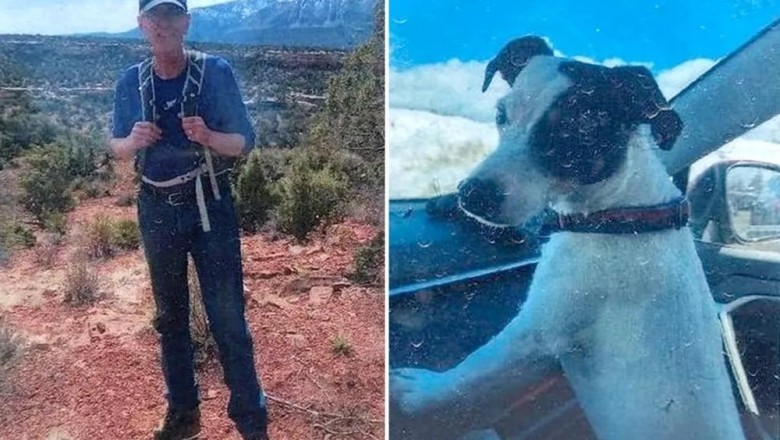 Dog's Incredible Loyalty! Miracle Pup Survives 2 Months Alone on Mountain Beside Owner's Body