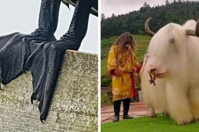 Fenómenos Naturales Fascinantes: 15 Fotografías que te Dejarán Maravillado