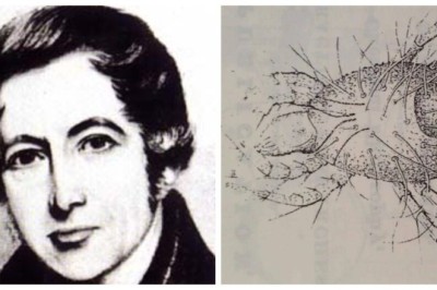 Andrew Cross - The Creator of Life, Who Repeated the Experiments of the Gods