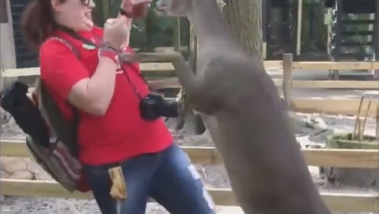 Laugh Your Tail Off with These Hilarious Funny Pets Compilation! Guaranteed to Make Your Day!
