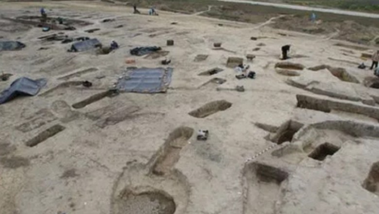 Uncovering the Secret Love Lives of Medieval Horsemen: How the Avars Prevented Inbreeding!