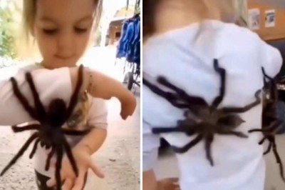 Astounding Video of Girl Playing with Her Pet Tarantulas Leaves Internet in Awe