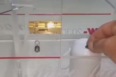 Mind-Blowing Parrot Shatters Expectations with Barrier-Breaking Skills!