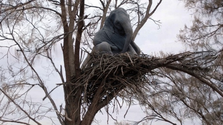 Elephant Drama Unfolds: Ranger Climbs Tree as Calf Refuses to Descend