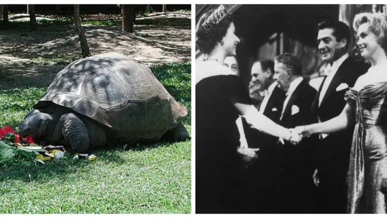 Unveiling Time's Intriguing Mysteries: 10 Mind-Blowing Facts That Will Change How You See the World