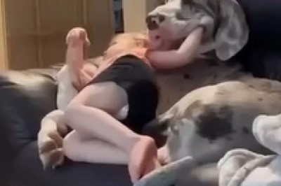 Unbelievably Cute: Hilarious Moments of Children with Pets!