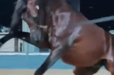 Hold Your Horses: Hilarious Display of Horse Power and Agility!