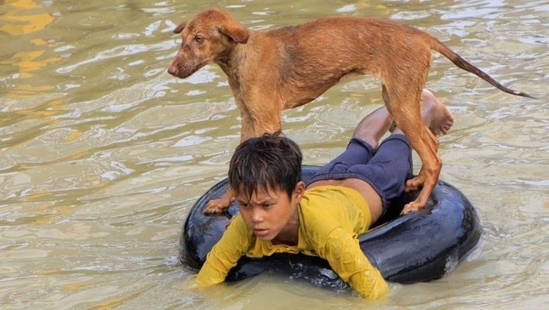 Il Mistero del Cane di Giovanni: Una Scoperta Incredibile che Ha Scioccato Tutti