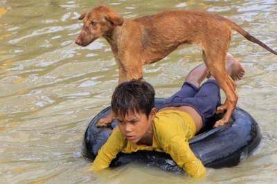 Il Mistero del Cane di Giovanni: Una Scoperta Incredibile che Ha Scioccato Tutti