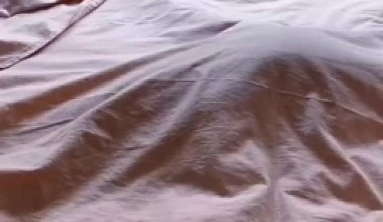 Video Virale: Il Gatto Più Amorevole di Sempre Ti Scioglierà il Cuore!