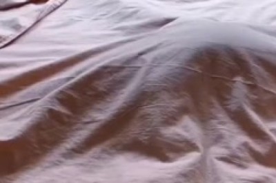 Video Virale: Il Gatto Più Amorevole di Sempre Ti Scioglierà il Cuore!