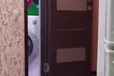 The Purrfectly Incredible Feline Feat: Watch in Awe as a Cat Masterfully Opens a Door in a Blink