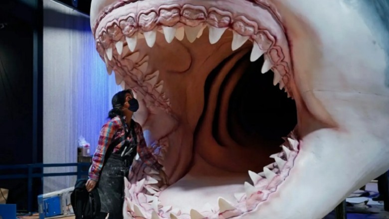 Unveiling the Grisly Survival Tactics of Ancient Sharks: Sibling Cannibalism in the Womb!