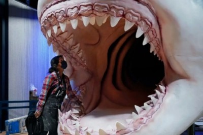 Unveiling the Grisly Survival Tactics of Ancient Sharks: Sibling Cannibalism in the Womb!