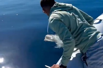 Heartwarming Rescue: Watch as a Heroic Man Saves a Stranded Turtle in the Vast Ocean!