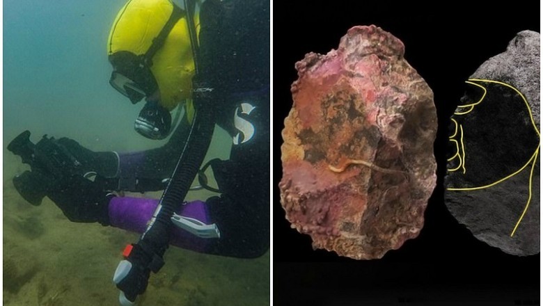 Diving Into the Unknown: A Marine Biologist's Unbelievable Discovery at the Ocean's Depths!