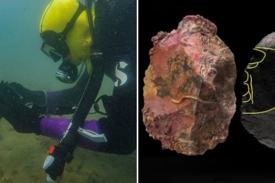 Diving Into the Unknown: A Marine Biologist's Unbelievable Discovery at the Ocean's Depths!