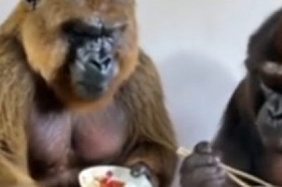 Hilarious Prank Gone Wrong: Girl 'Punishes' Her Husband in the Most Unexpected Way!