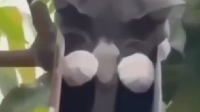 When Your Cat Has A Very Bad Day