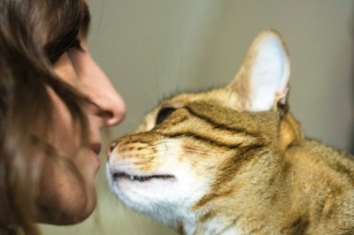 Unveiling the Mystery: Why Cats Sniff Our Breath Revealed!