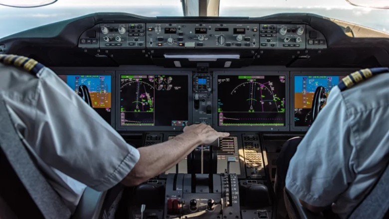 Birds Swarm Plane Mid-Flight - Pilot's Desperate Battle