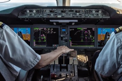 Birds Swarm Plane Mid-Flight - Pilot's Desperate Battle