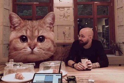 These Giant Cats Will Steal Your Heart!