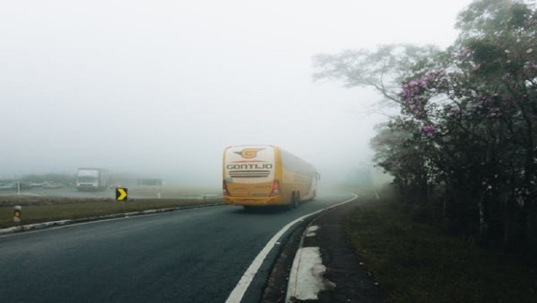 From Nightmares to New Beginnings: A Road Trip Gone Wrong