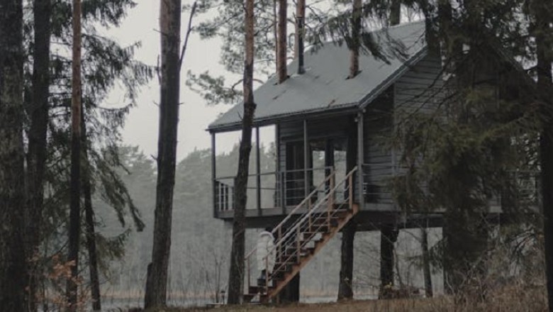 The Treehouse Who Spoke: A Chilling Journey Through Childhood Fears