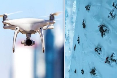 From Drones to Destiny: One Man's Quest to Save Endangered Wildlife