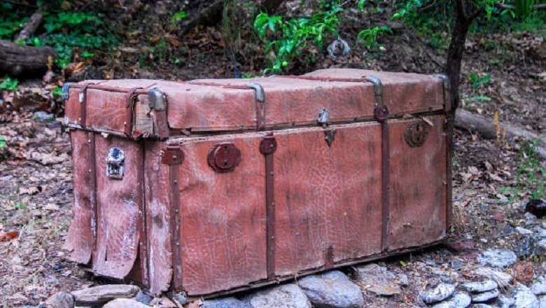 Digging for Gold: What Tom Unearthed in His New Garden Will Leave You Speechless!