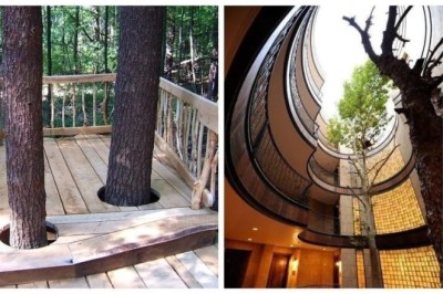 17 Jaw-Dropping Structures That Prove Nature and Architecture Can Harmonize!