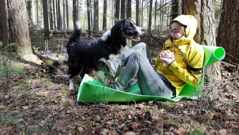 Unleashing Hope: The Incredible Story of North Dakota's Canine Search and Rescue Heroes