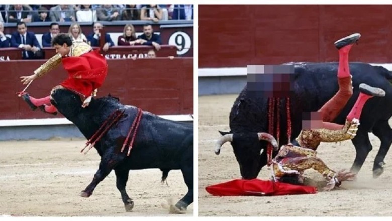Bullfighter's Nightmare: Watch the Shocking Moment Andres Roca Rey Is Gored in Madrid