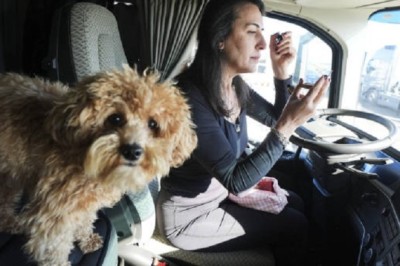 DIY Home Remedies for Your Dog’s Minor Ailments