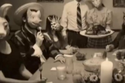 This Funny Clip Will Make Your Day!